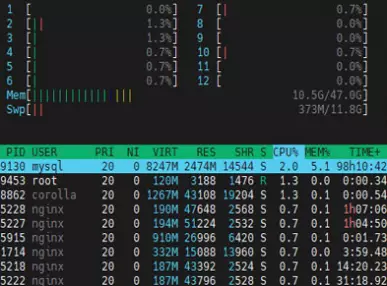 Выдерживает 10 000 RPS